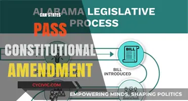 How States Constitutionally Pass Amendments