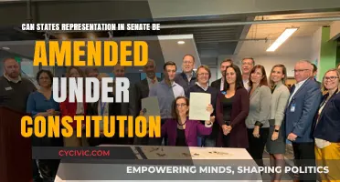 Senate Representation: Can States Amend the Constitution?
