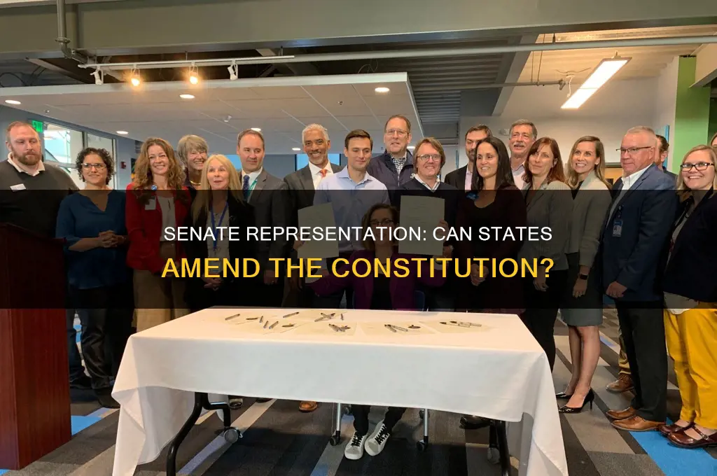 can states representation in senate be amended under constitution