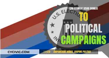 Student Visas and Political Campaign Donations: What's Allowed?