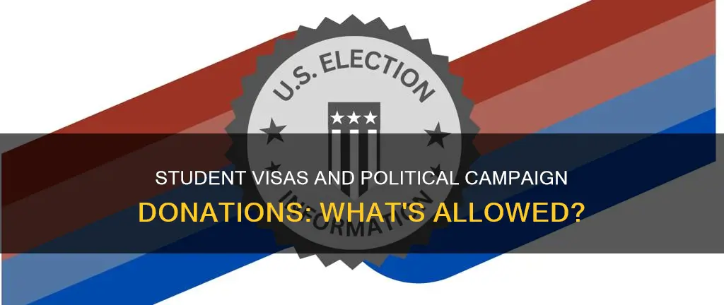 can student visas donate to political campaigns