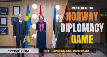 Sweden's Defense Diplomacy: Can It Protect Norway?