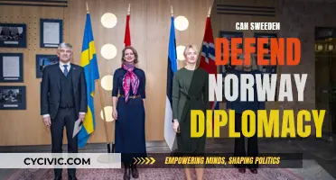 Sweden's Defense Diplomacy: Protecting Norway's Interests