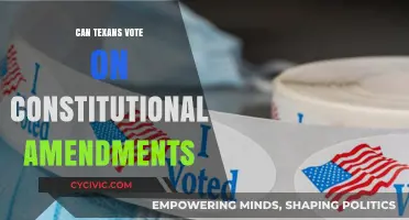 Texans' Voting Rights: Constitutional Amendments