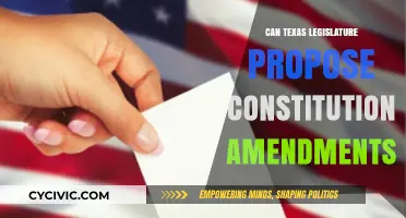 Texas Legislature: Proposing Constitutional Amendments