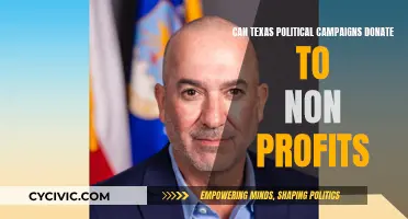 Texas Political Campaigns: Donating to Non-Profits?