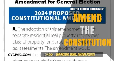 Amending the Constitution: Federal Government's Role