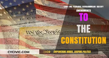 Amendments: Federal Government's Power to Ratify the Constitution