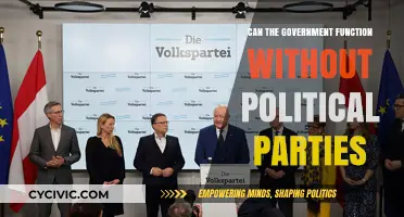 Can Governments Operate Effectively Without Political Parties?