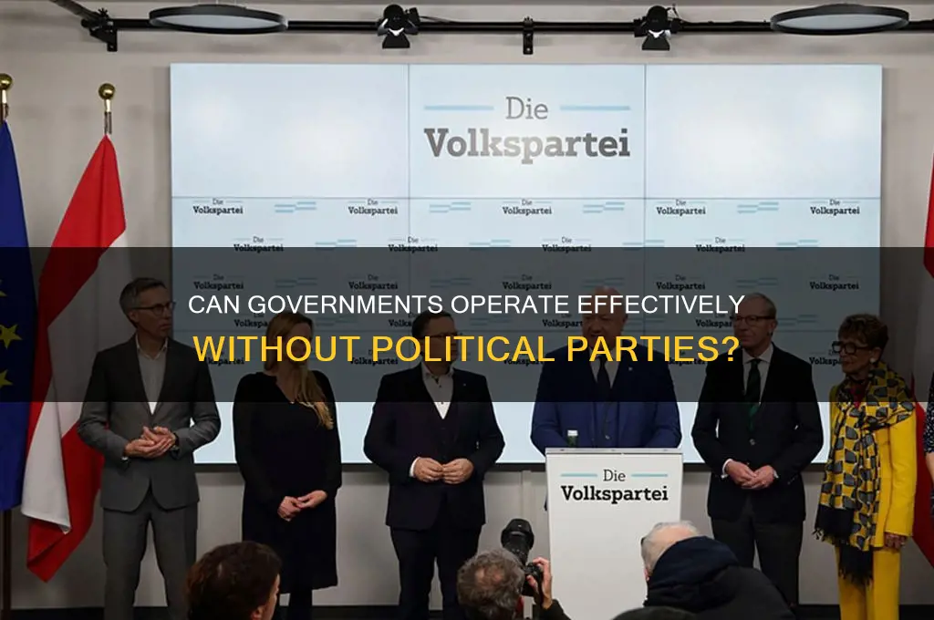 can the government function without political parties