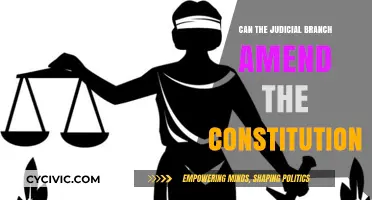 Judicial Branch: Can They Amend the Constitution?