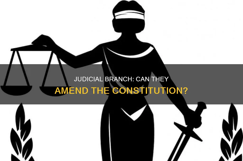 can the judicial branch amend the constitution