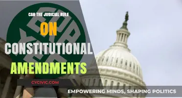 Judiciary's Role: Interpreting Constitutional Amendments