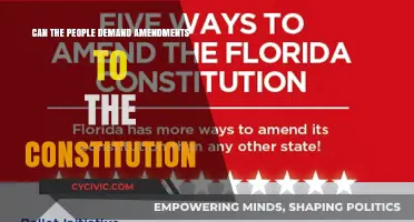 Demanding Constitutional Amendments: Power to the People