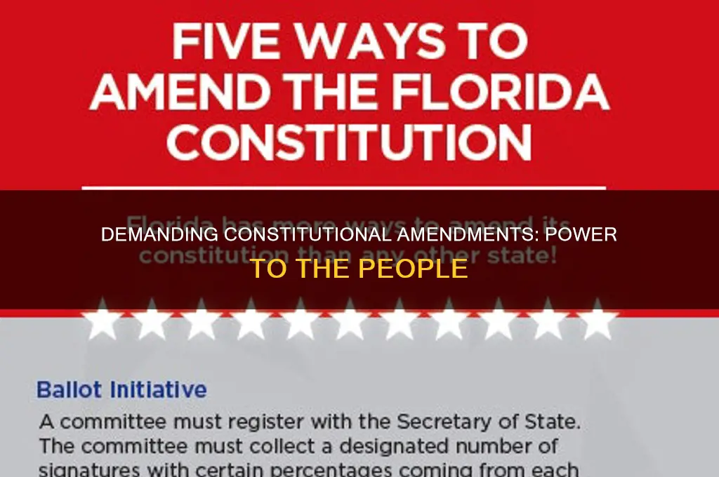 can the people demand amendments to the constitution