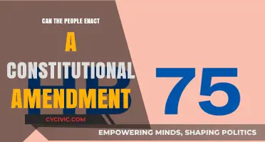How Citizens Can Enact Constitutional Amendments