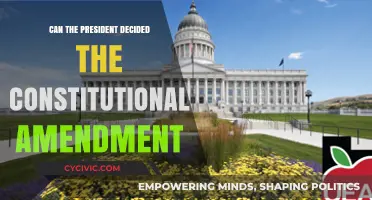 Presidential Power: Can They Change the Constitution?