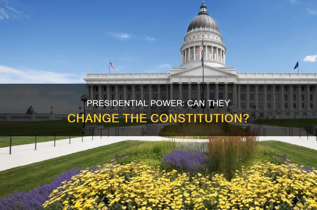 can the president decided the constitutional amendment
