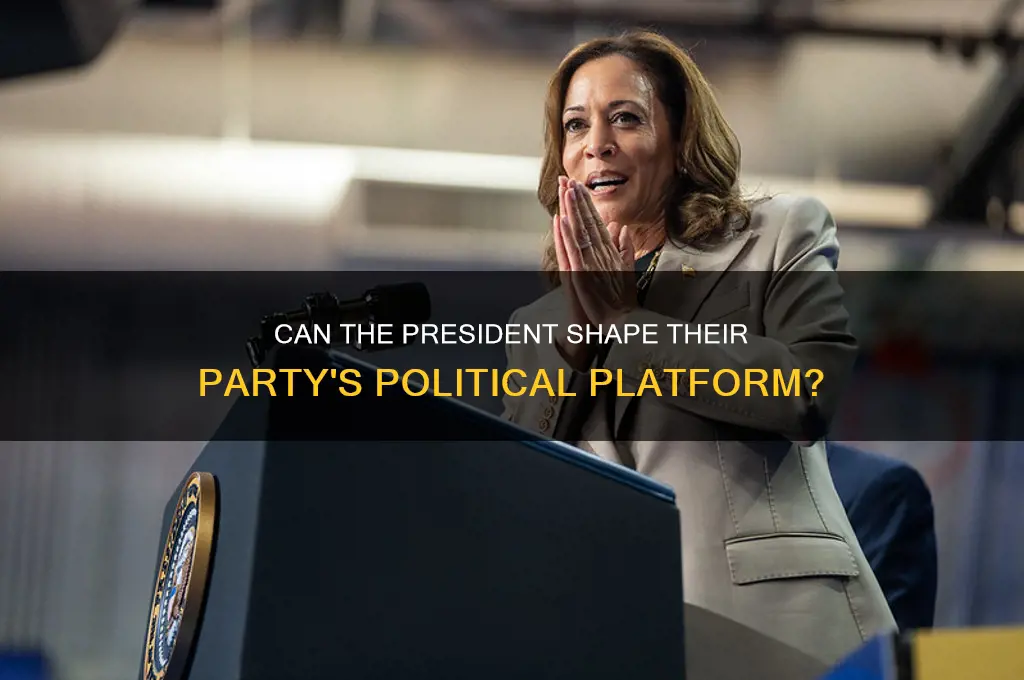 can the president determine the platform political party
