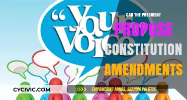 Presidential Power: Proposing Constitutional Amendments