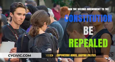 The Second Amendment: Can it be Repealed?