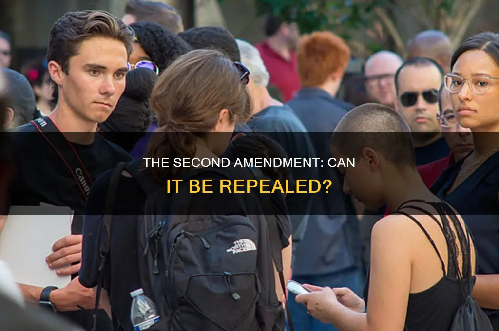 can the second amendment to the constitution be repealed