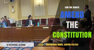 Amending the Constitution: Senate's Role and Power