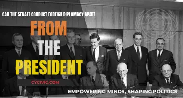 Senate's Foreign Diplomacy: Beyond Presidential Powers?