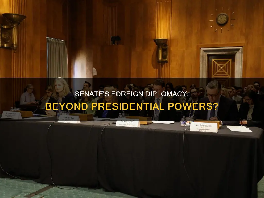 can the senate conduct foreign diplomacy apart from the president