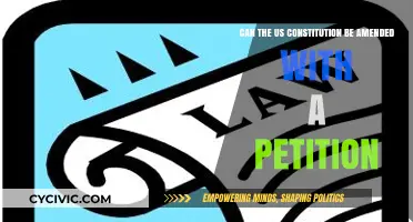 Amending the US Constitution: Can Petitions Work?