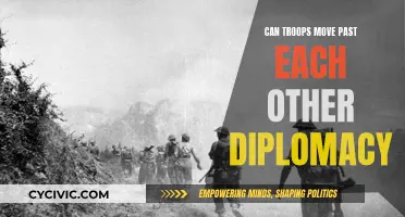 Diplomacy's Intricacies: Troops Passing By Without Incident