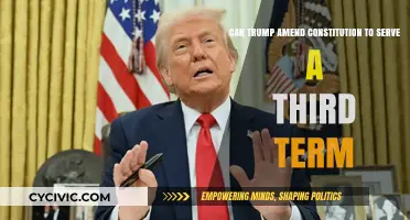 Trump's Third Term: Amending the Constitution?