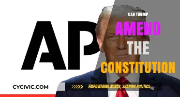 Trump's Constitutional Amendments: Feasible or Far-fetched?