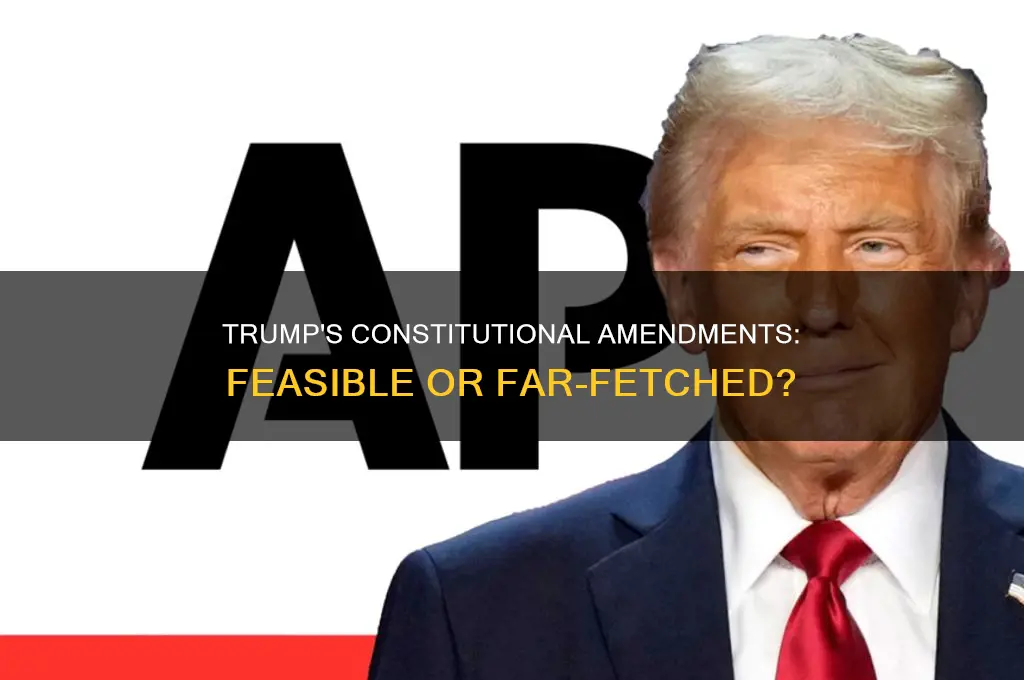 can trump amend the constitution