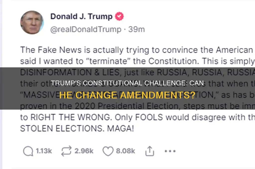 can trump change constitutional amendment