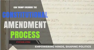Trump's Constitutional Override: Can He Do It?