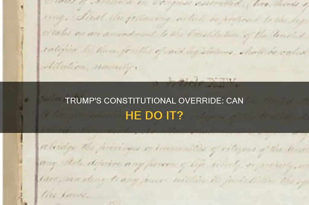 can trump override the constitutional amendment process