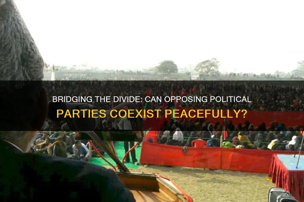 can two people on different political party get along