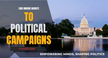 Unions' Political Campaign Donations: Legality and Limits