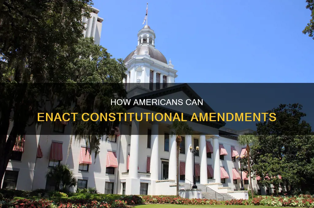 can us citizens force a constitutional amendment