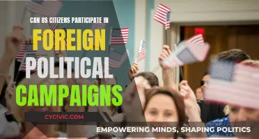 Foreign Campaigns: Can US Citizens Participate?