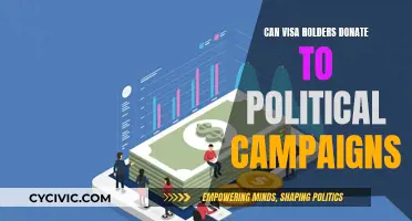 Visa Holders' Political Campaign Donations: What's Allowed?