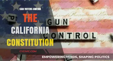 How California Voters Can Change the State Constitution