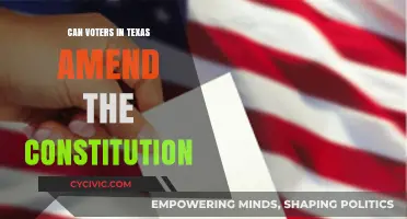 Texas Voters: Constitutional Amendments Explained