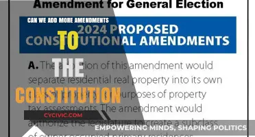 Amending the Constitution: Exploring New Possibilities