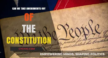 Amendments: Can We Remove Them From the Constitution?