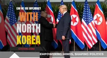 Diplomacy with North Korea: A Feasible Option?