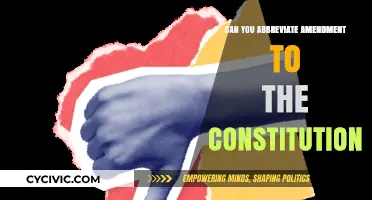 Amendments: Shortening the Constitution?