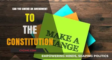 Amending Amendments: Is it Possible?