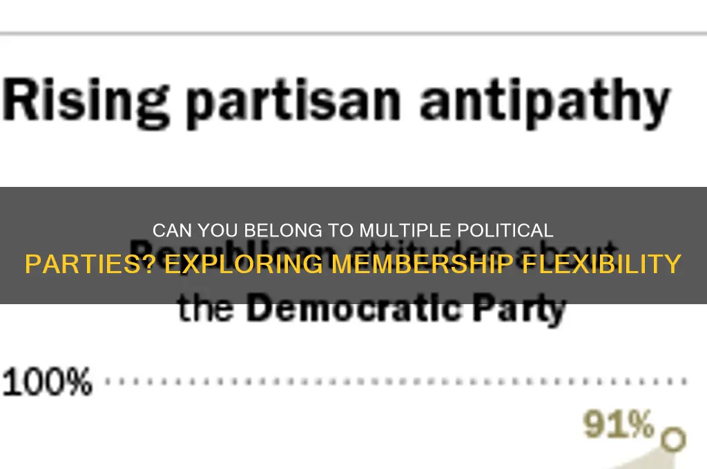 can you be in mutiple political parties